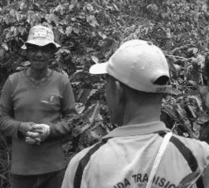 Coffee drying process in Aceh